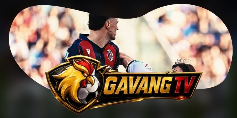 Phân tích phong độ Parma vs Torino qua độ cân bằng giữa pressing và phòng ngự thấp